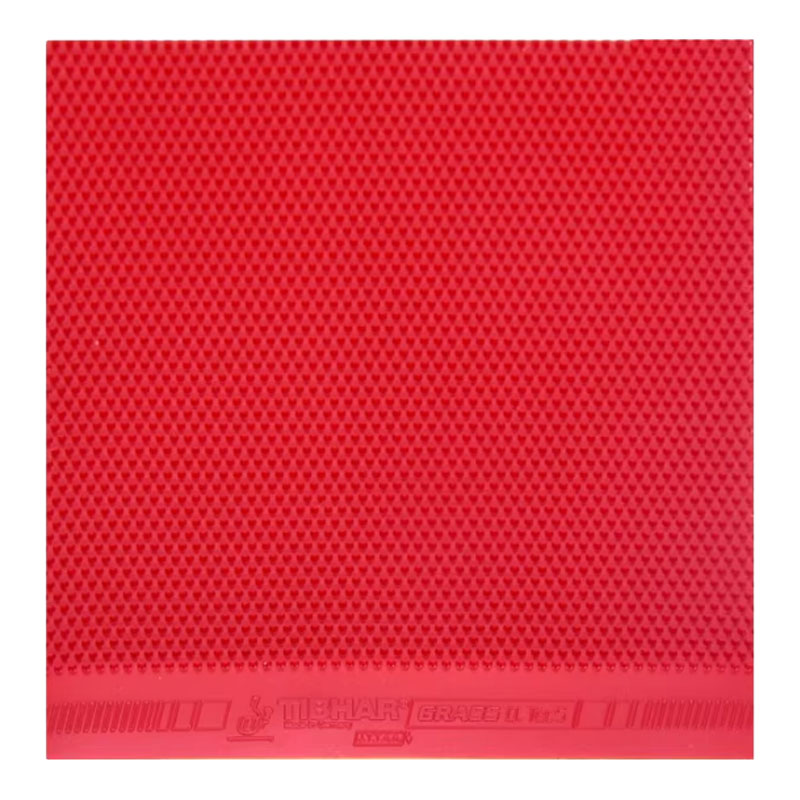 TIBHAR Grass D.TecS Table Tenn - Table Tennis Germany recension och pris